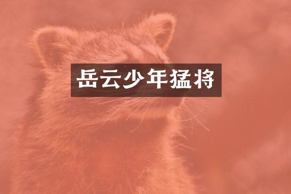 岳云少年猛将