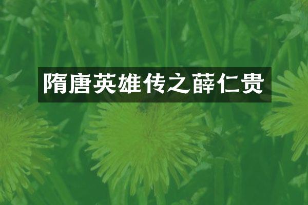 隋唐英雄传之薛仁贵