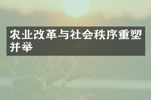 农业改革与社会秩序重塑并举