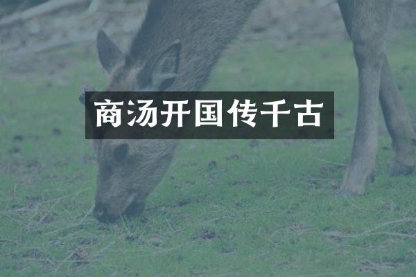 商汤开国传千古