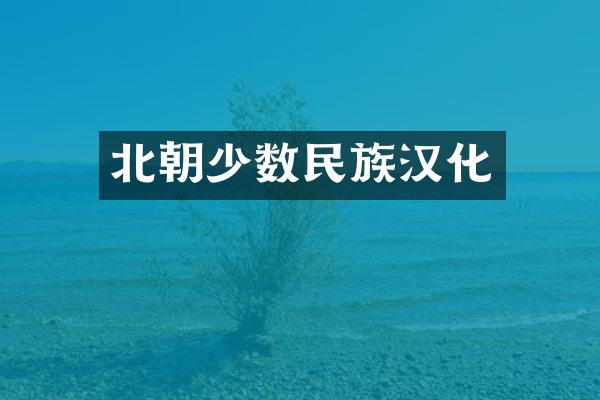 北朝少数民族汉化