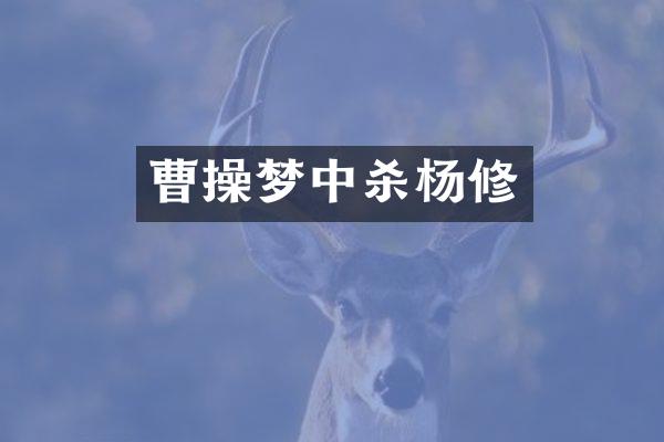 曹操梦中杀杨修