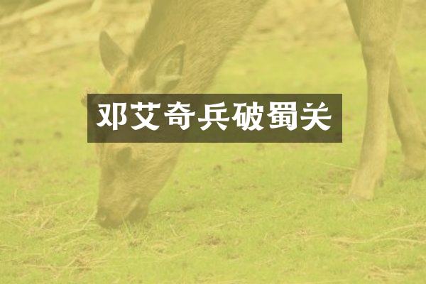 邓艾奇兵破蜀关