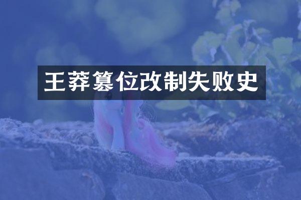 王莽篡位改制失败史