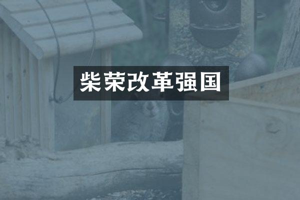 柴荣改革强国