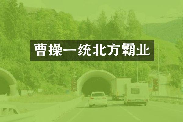 曹操一统北方霸业