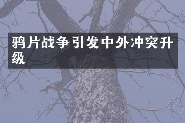 战争引发中外冲突升级