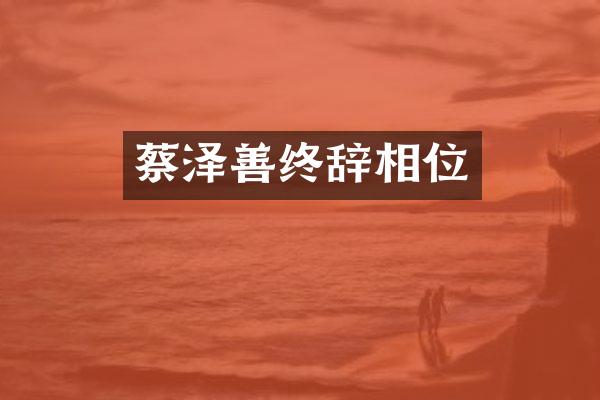 蔡泽善终辞相位