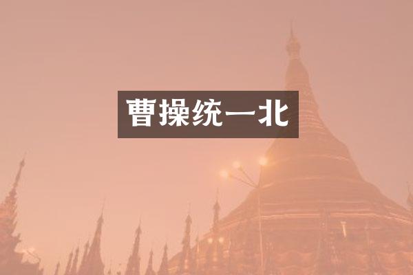 曹操统一北