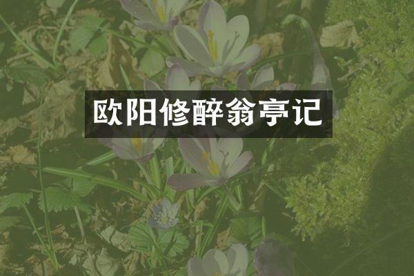 欧阳修醉翁亭记