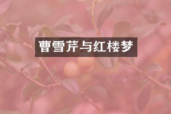 曹雪芹与红楼梦