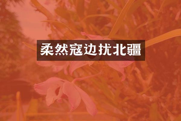 柔然寇边扰北疆