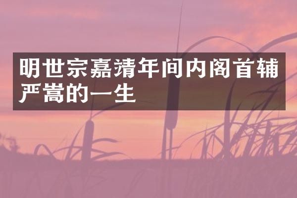 明世宗嘉靖年间内阁首辅严嵩的一生