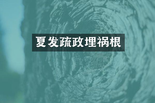 夏发疏政埋祸根