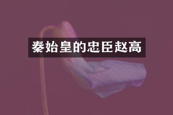 秦始皇的忠臣赵高