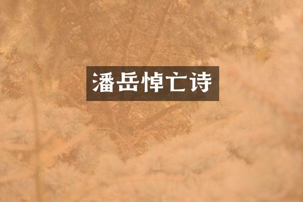 潘岳悼亡诗
