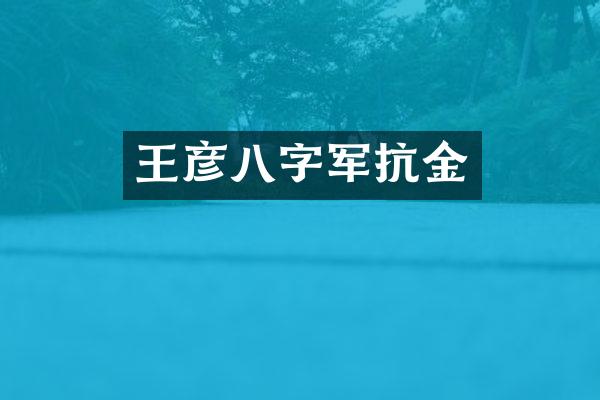 王彦八字军抗金