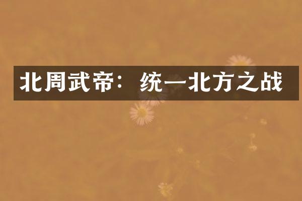 北周武帝：统一北方之战