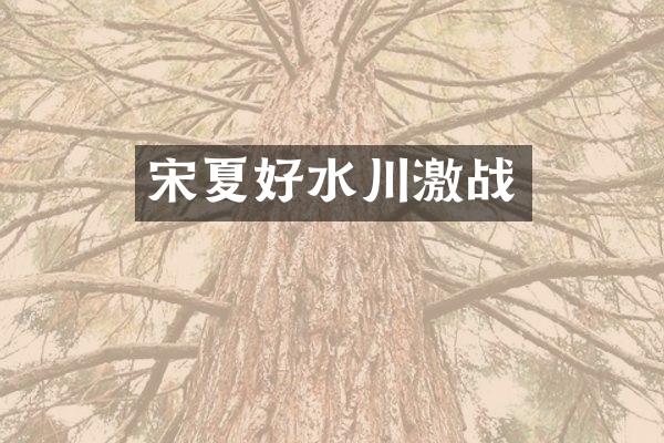 宋夏好水川激战
