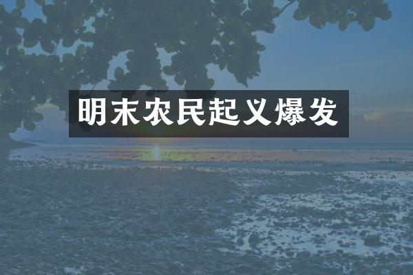 明末农民起义爆发