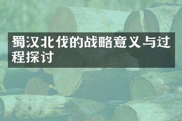 蜀汉北伐的战略意义与过程探讨