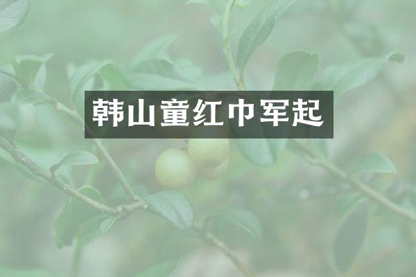 韩山童红巾军起