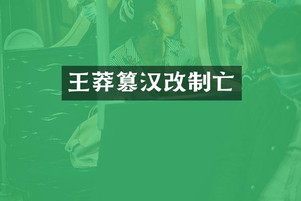 王莽篡汉改制亡