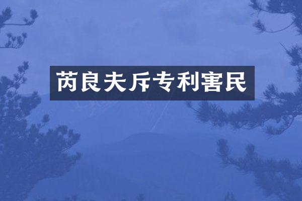 芮良夫斥专利害民