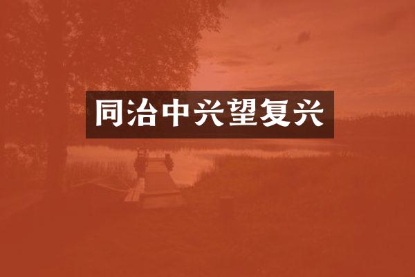 同治中兴望复兴