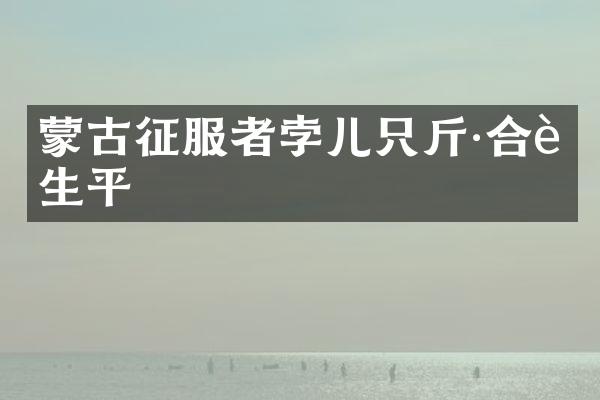 蒙古征服者孛儿只斤·合赞生平