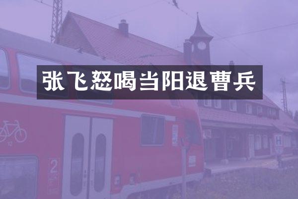 张飞怒喝当阳退曹兵