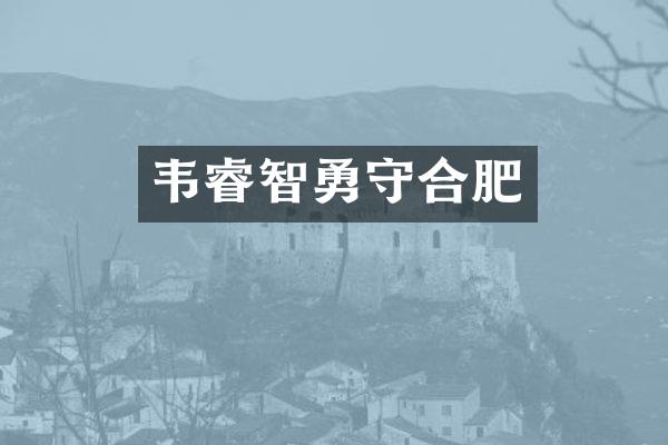 韦睿智勇守合肥