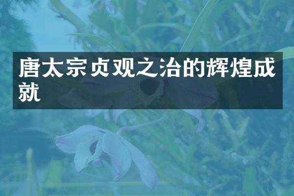 唐太宗贞观之治的辉煌成就
