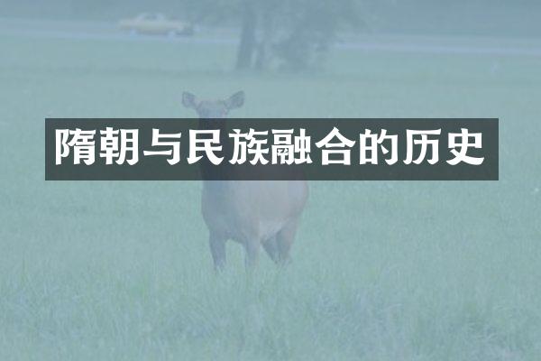 隋朝与民族融合的历史