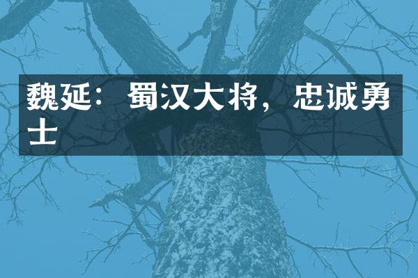 魏延：蜀汉大将，忠诚勇士