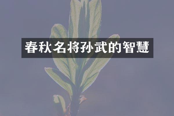 春秋名将孙武的智慧