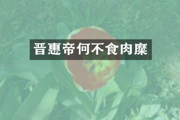 晋惠帝何不食肉糜