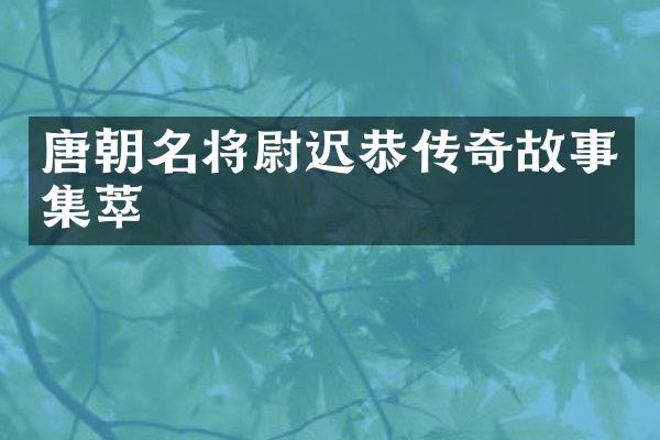 唐朝名将尉迟恭传奇故事集萃