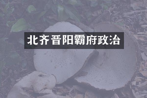北齐晋阳霸府政治