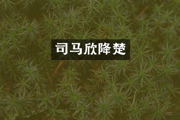 司马欣降楚