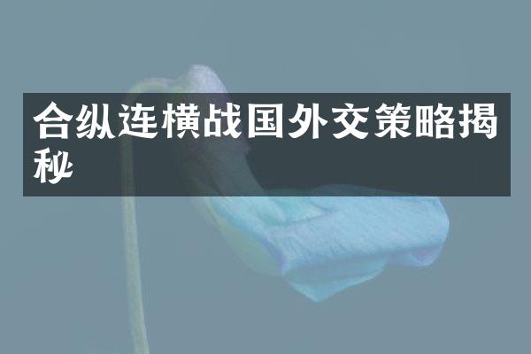 合纵连横战国外交策略揭秘