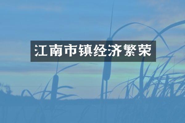 江南市镇经济繁荣
