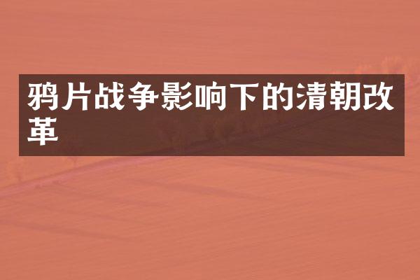 战争影响下的清朝改革