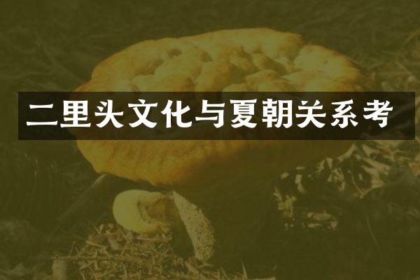 二里头文化与夏朝关系考