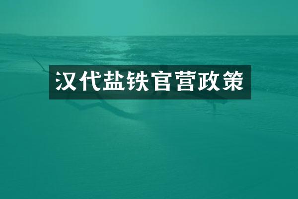 汉代盐铁官营政策